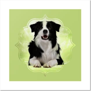 Border Collie Posters and Art